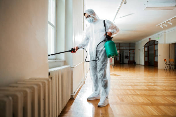 Best Pest Prevention Services  in Pitola, CA